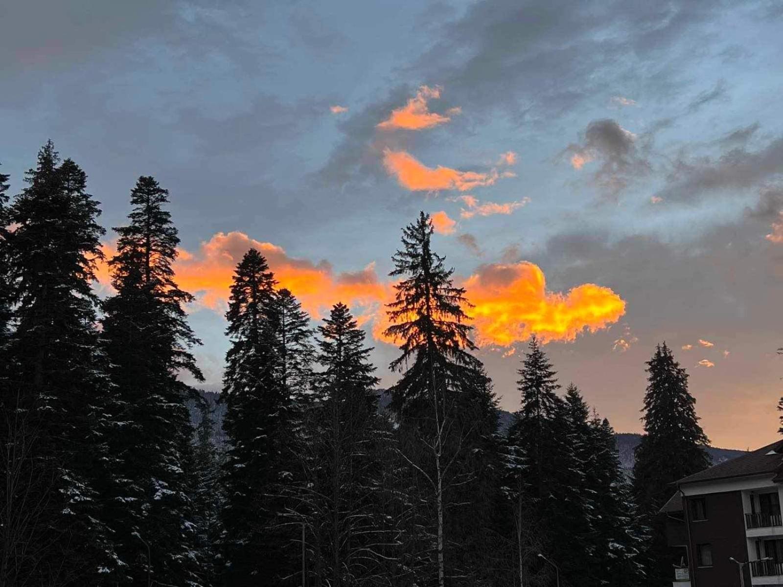 Arboro Royal Plaza Lägenhet Borovets Exteriör bild