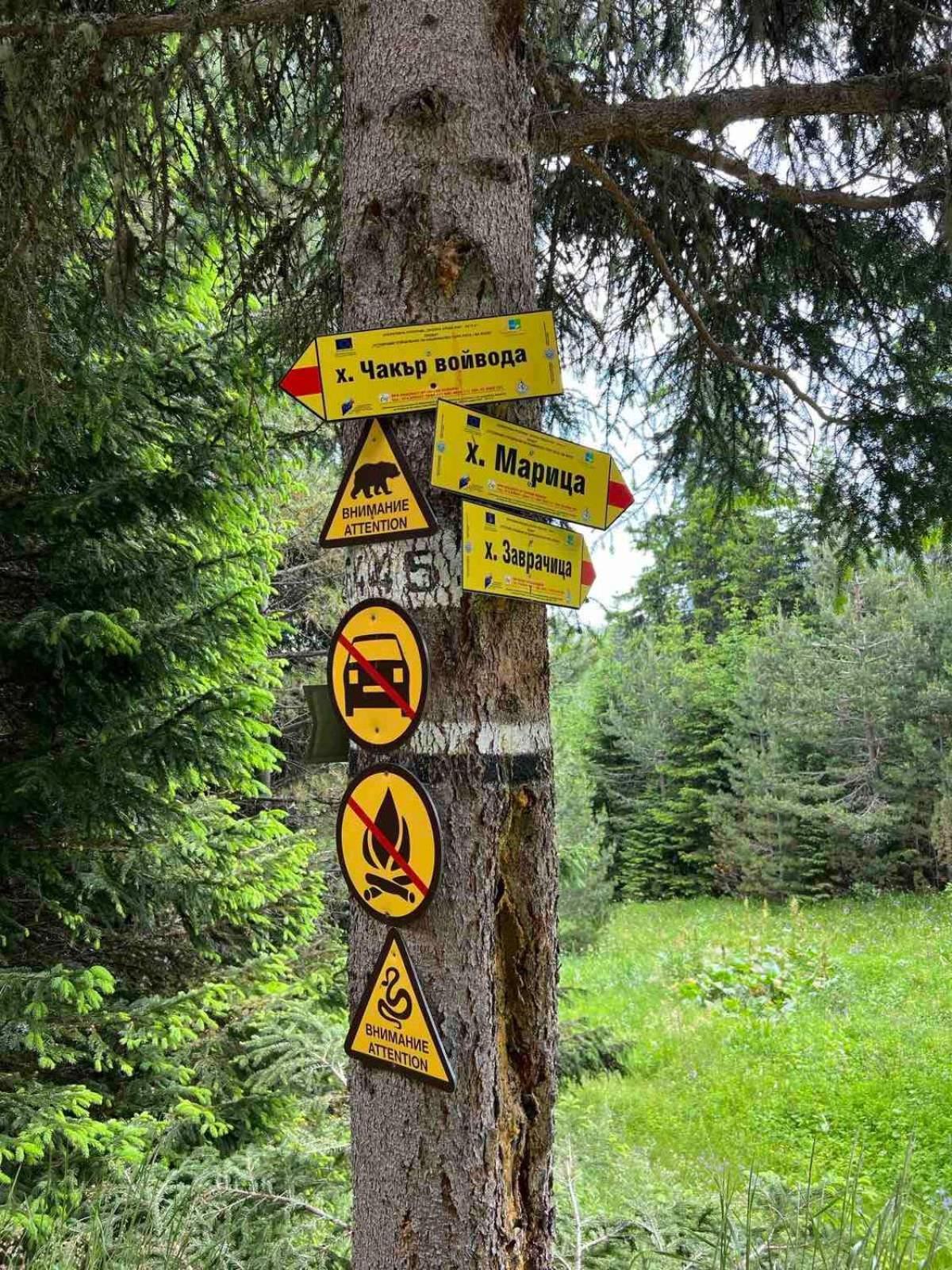 Arboro Royal Plaza Lägenhet Borovets Exteriör bild