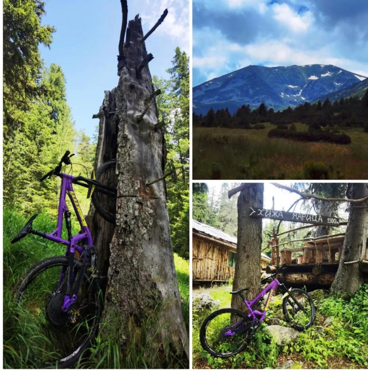 Arboro Royal Plaza Lägenhet Borovets Exteriör bild