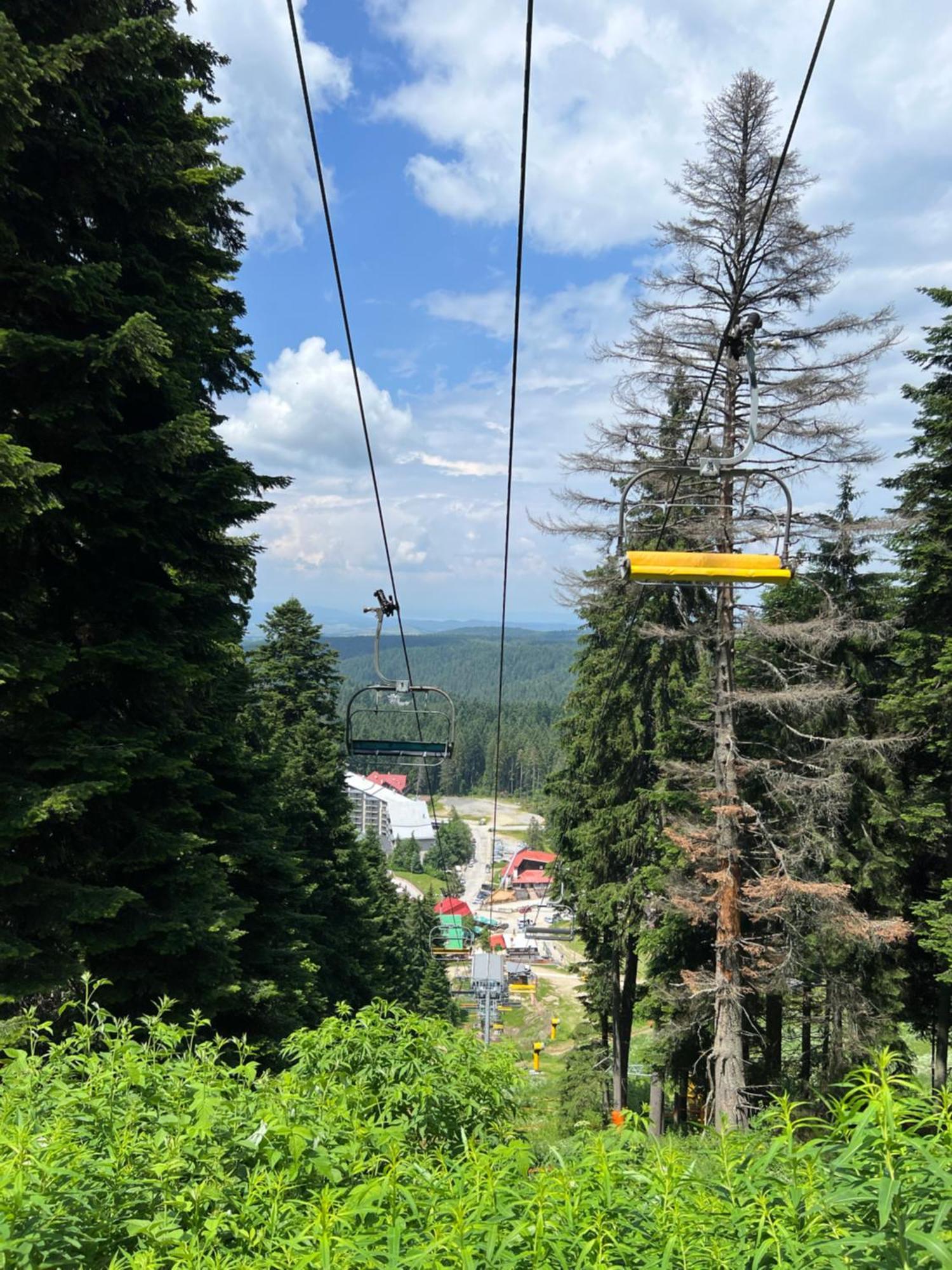 Arboro Royal Plaza Lägenhet Borovets Exteriör bild